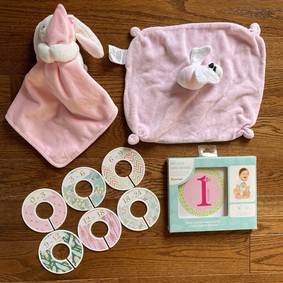 Blanket Lot Burt’s Bees Carters Milestone Stickers Baby Girl Closet Dividers NEW - Picture 1 of 8